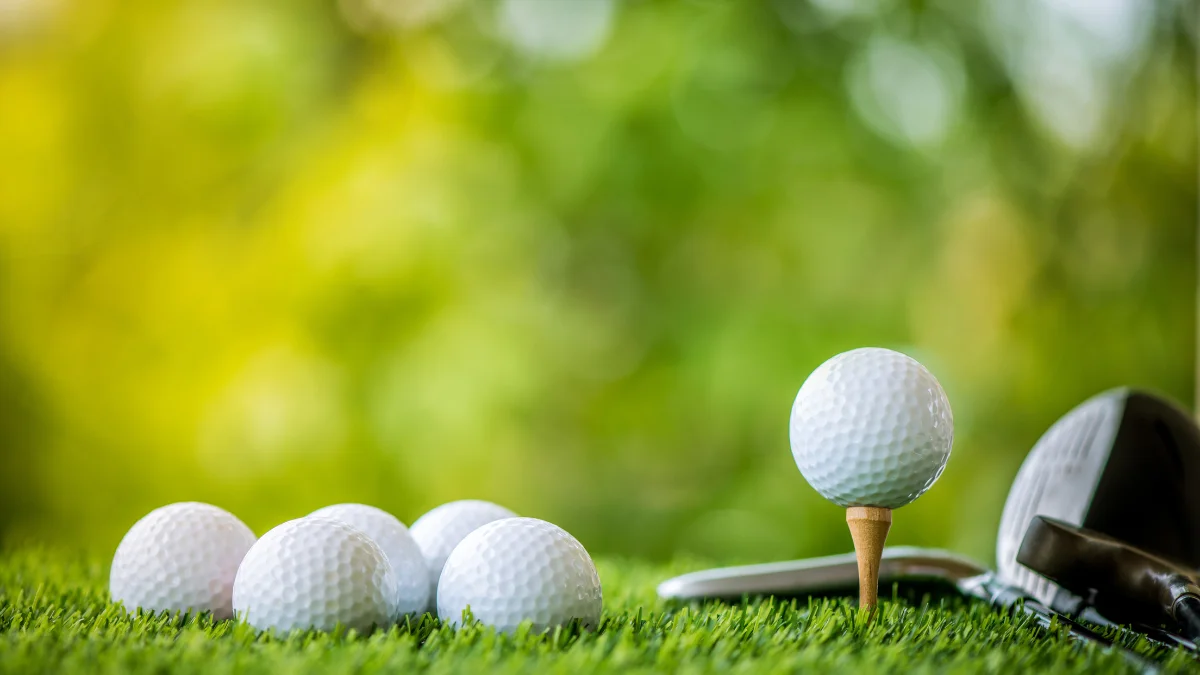 2024 Player Advisory Council