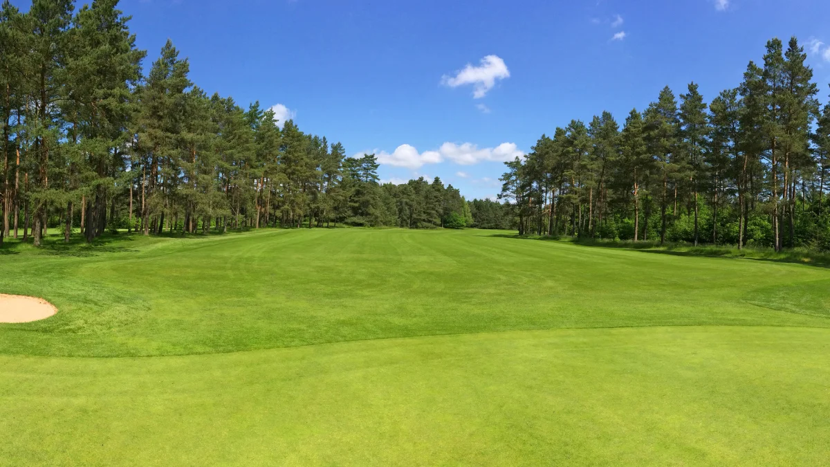 Gordon Sargent Returns To Vanderbilt