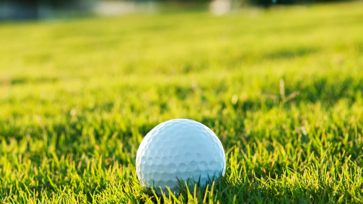 Ernie Els wins 2nd straight PGA Tour Champions title