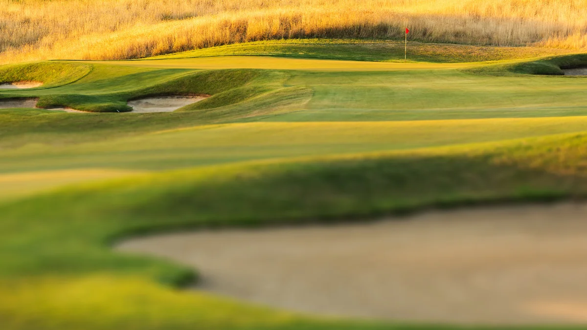 Bradley Pulls Through